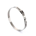 Hose Clamp Manufacturer - High Quality Stainless Steel Single Ear Custom Sizes Wholesale Price