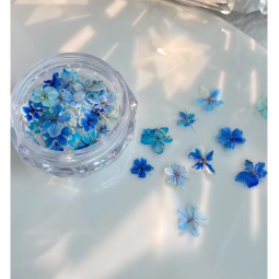 美甲材料生产商-OEM花卉图案干燥花卉刺绣
