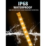 LED Strip Light Manufacturer - Waterproof 12V Long Lifetime Soft Racing for Motorcycle White Warm White Blue