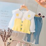 Girls Clothing Set Manufacturer - Spring Autumn Floral Vest Doll Collar Shirt Jeans 3Pcs