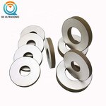 Piezo Ceramic Ring Manufacturer - Custom BJULTRASONIC Silver Electrode Pzt 5A Humidifier Disc Plate