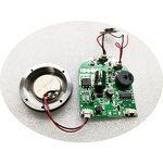 Ultrasonic Transducer Manufacturer - 1MHZ 3MHZ 5MHZ Piezo Beauty Element
