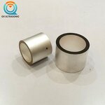 Piezoelectric Ceramic Manufacturer - Custom PZT5A Tube Different Shape Piezo