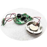 Ultrasonic Transducer Manufacturer - 1MHZ 3MHZ 5MHZ Piezo Beauty Element