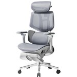 Ergonomic Office Chair Manufacturer - HBADA X7 4D Headrest 720° Armrests Lumbar Tracking
