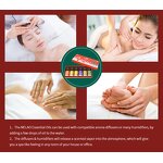 Essential Oil Set Manufacturer - OEM 6P Pure Organic Aromatherapy for Diffuser Candle Making