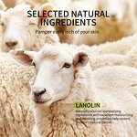 Lanolin Balm Manufacturer - Extra Moisturizing Organic Ultra Nourishing HALAL Body Care