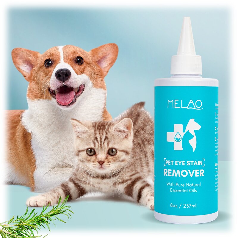 Pet Eye Drops Manufacturer - Private Label ODM/OEM for Dry Eyes Regular Care for Dogs/Cats