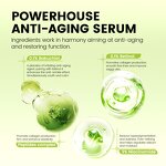 Face Serum Manufacturer - OEM ODM Caffeine & Retinol Peptide for Fine Lines & Firming