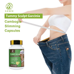 Slimming Pills Manufacturer - Wholesale Organic Slim Fit Detox Appetite Suppressant