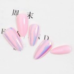 荧光假指甲生产商-24只钻石网格