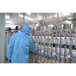 Horse Supplement Manufacturer - Apple Flavored for Health Support OEM Brand