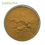 Enoki Mushroom Extract Manufacturer - Natural 30% Polysaccharide Extract Powder