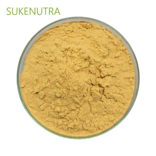 Shiitake Mushroom Extract Manufacturer - Factory Wholesale Best Price Extract Powder