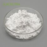 Green Tea Extract Powder Manufacturer - Wholesale 90% EGCG Antioxidant Supplement