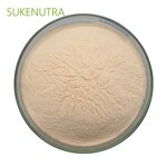 Papaya Juice Powder Manufacturer - OEM Packing No Additives Papaya Juice Powder