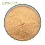 Bacillus Coagulans Powder Manufacturer - High Viable Count 20B CFU/g Digestive Health Supplement