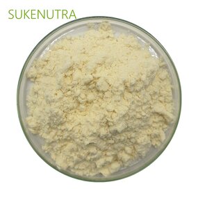 Pineapple Juice Powder Manufacturer - Natural Flavour for Smoothies Shakes Baking Drinks