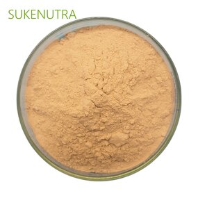 Bacillus Coagulans Powder Manufacturer - High Viable Count 20B CFU/g Digestive Health Supplement