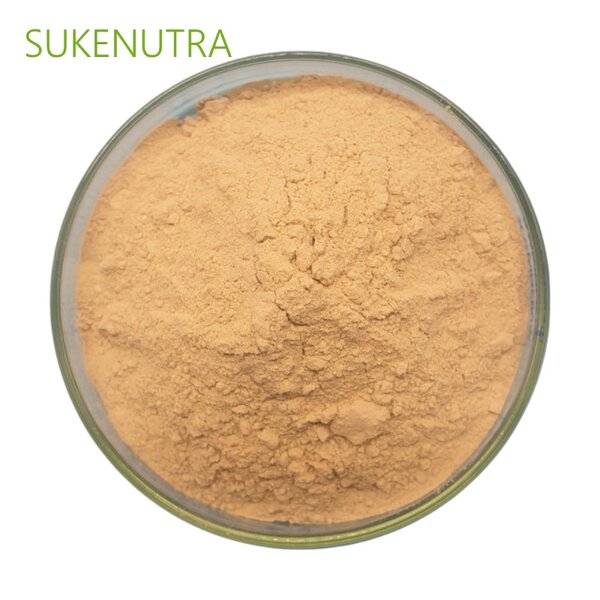 Bacillus Coagulans Powder Manufacturer - High Viable Count 20B CFU/g Digestive Health Supplement