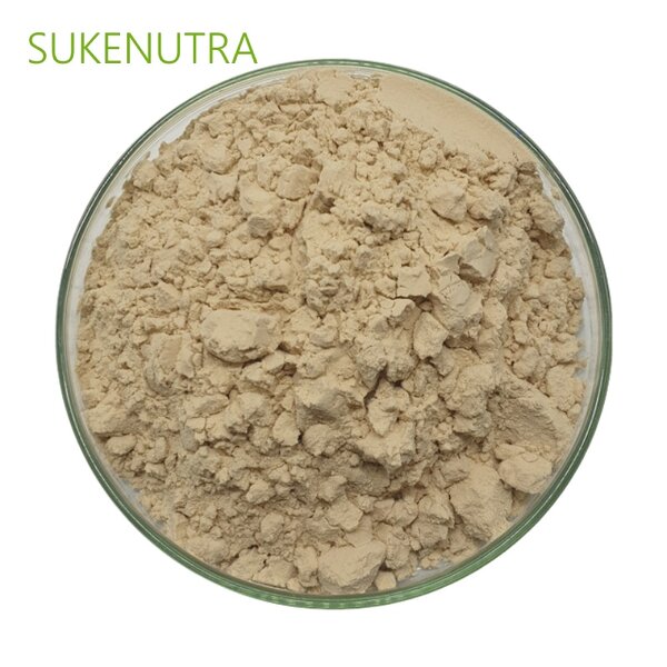 Mushroom Beta Glucan Manufacturer - Factory Wholesale 30% 50% Mushroom Beta Glucan