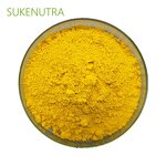 Berberine Hcl Powder Manufacturer - Hot Sale 97% Berberine Custom Support