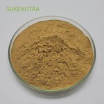 Shiitake Mushroom Extract Manufacturer - Hot Sale Lentinan 30% Extract Powder