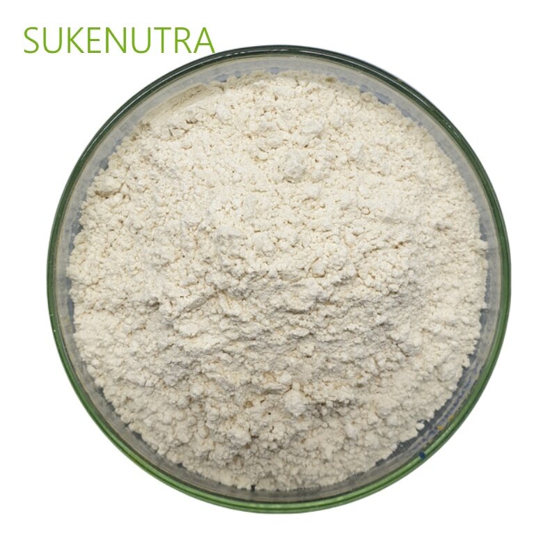 Serrapeptase Powder Manufacturer - 200000U Respiratory Health Immune Function Supplement
