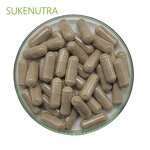 White Button Mushroom Extract Manufacturer - High Quality Natural Extract Powder