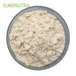 Chickpea Protein Isolate Manufacturer - High Quality Chickpea Protein Isolate