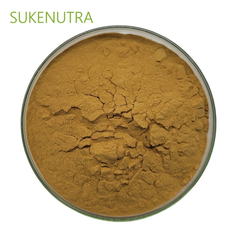 Auricularia Polytricha Extract Manufacturer - Natural 30% Polysaccharide Extract Powder