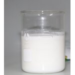 Coconut Milk Powder Manufacturer - Factory Price Vegan Gluten-Free Non-Dairy Creamer