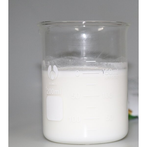 Coconut Milk Powder Manufacturer - Factory Price Vegan Gluten-Free Non-Dairy Creamer