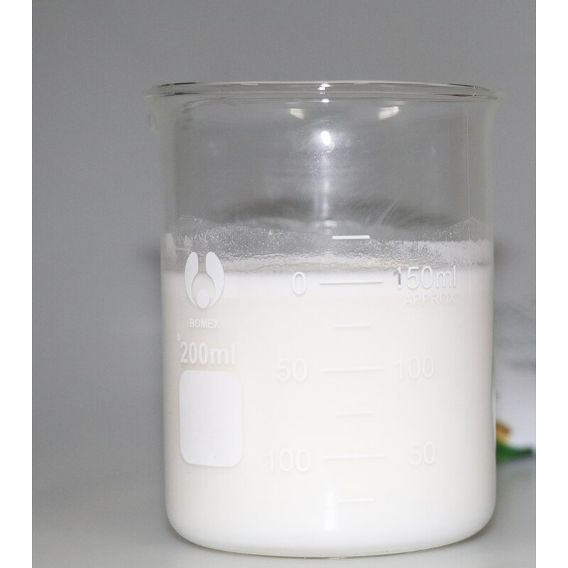 Coconut Milk Powder Manufacturer - Factory Price Vegan Gluten-Free Non-Dairy Creamer