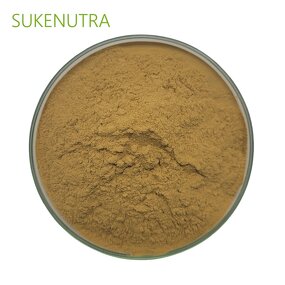 Shiitake Mushroom Extract Manufacturer - Hot Sale Lentinan 30% Extract Powder