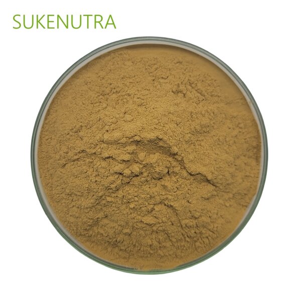 Shiitake Mushroom Extract Manufacturer - Hot Sale Lentinan 30% Extract Powder