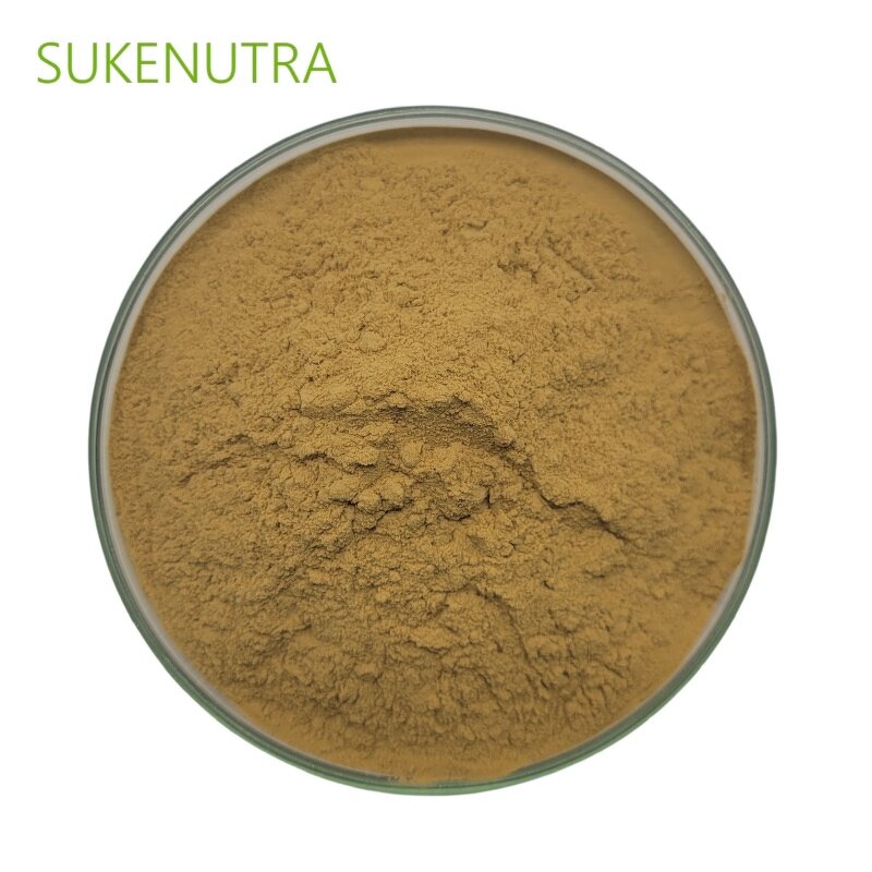 Shiitake Mushroom Extract Manufacturer - Hot Sale Lentinan 30% Extract Powder