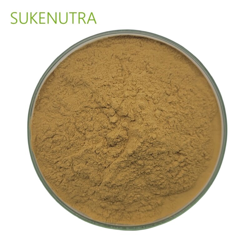 Turkey Tail Mushroom Extract Manufacturer - Natural 30% Polysaccharide Extract Powder