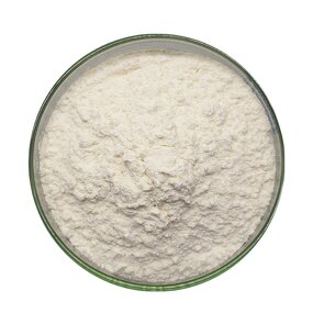 Sucralose Powder Manufacturer - Best Price Sweetener Sucralose Powder