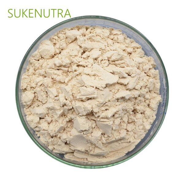 Lentil Protein Manufacturer - High Quality Lentil Protein