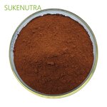 Beet Root Juice Powder Manufacturer - Natural Organic Beet Root Juice Powder