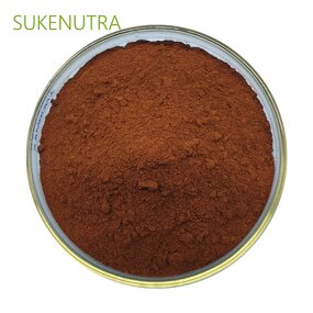 Beet Root Juice Powder Manufacturer - Natural Organic Beet Root Juice Powder