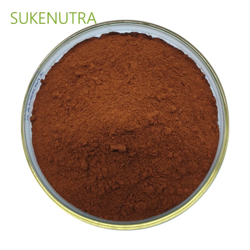 Beet Root Juice Powder Manufacturer - Natural Organic Beet Root Juice Powder