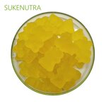 Lion's Mane Mushroom Gummies Manufacturer - 60 Count Nootropic for Memory Focus Nerve Health