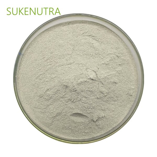 Peptidase Proline Endo Enzyme Manufacturer - Food Grade Aspergillus Oryzae Source Enzyme