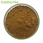 Cistanche Tubulosa Extract Powder Manufacturer - 50% Echinacoside+10% Verbascoside Energy Support