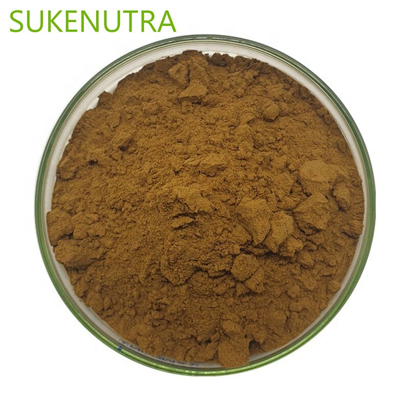 Cistanche Tubulosa Extract Powder Manufacturer - 50% Echinacoside+10% Verbascoside Energy Support
