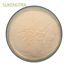 Papaya Juice Powder Manufacturer - OEM Packing No Additives Papaya Juice Powder