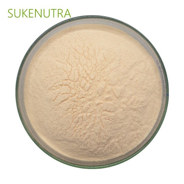 Papaya Juice Powder Manufacturer - OEM Packing No Additives Papaya Juice Powder