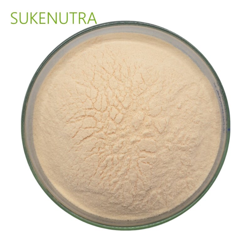 Papaya Juice Powder Manufacturer - OEM Packing No Additives Papaya Juice Powder